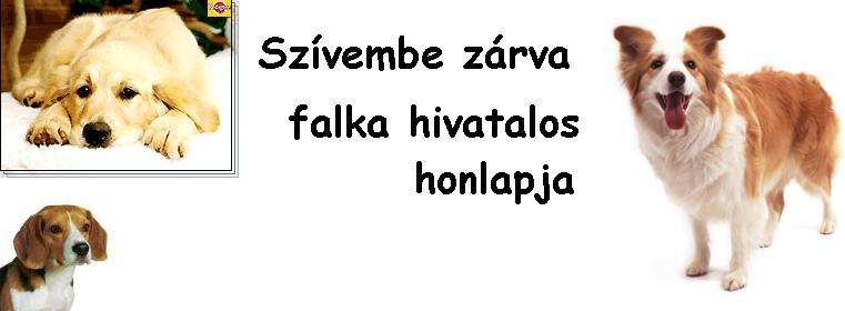 Szvembe zrva!